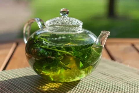 تصویر 1 از فروش چای سبز ایرانی + قیمت خرید به صرفه